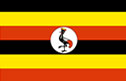 Servo Voltage Stabilizer in Uganda